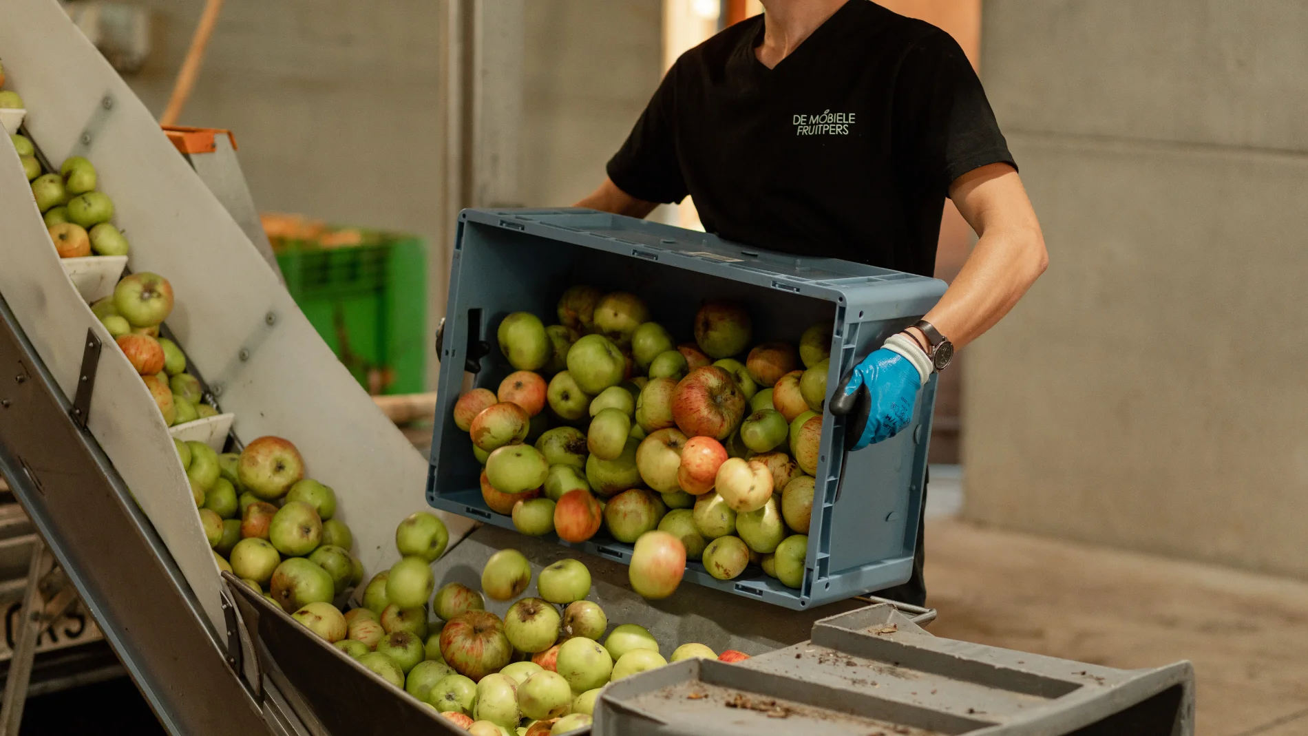 Worker dropping fruit into the mobile presser machine